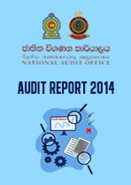 Audit Report 2014